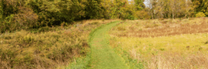 Patriot Equities Acquires 110 Acres at Former Atlantic City Race Course