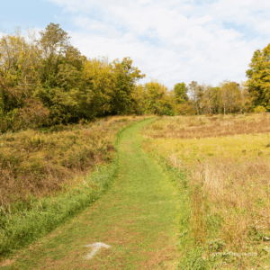 Patriot Equities Acquires 110 Acres at Former Atlantic City Race Course